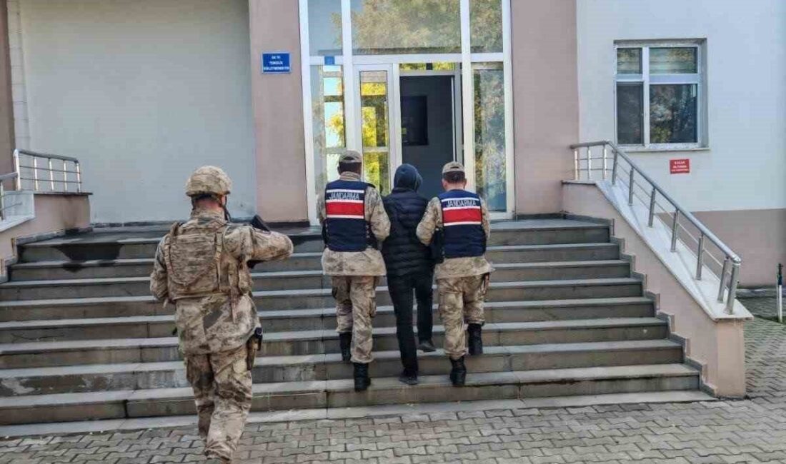 Bingöl'de jandarma, aranan iki şüpheliyi yakaladı. 'Uyuşturucu suçlarından' 9 yıl
