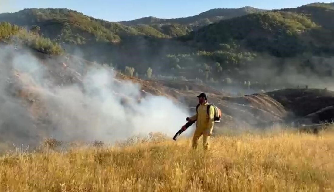 Bingöl'ün Genç ilçesinde, Dedebağı köyü kırsalındaki ormanlık alanda çıkan yangın,