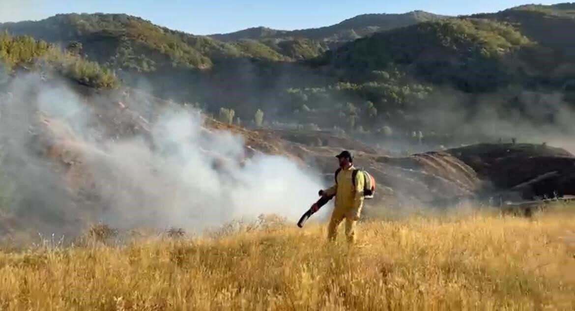 Bingöl'ün Genç ilçesinde, Dedebağı köyü kırsalındaki ormanlık alanda çıkan yangın,