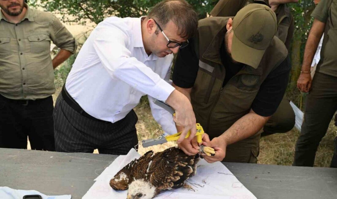 TREDAŞ, 4 Ekim Dünya Hayvanları Koruma Günü'nde sokak hayvanlarını desteklemek