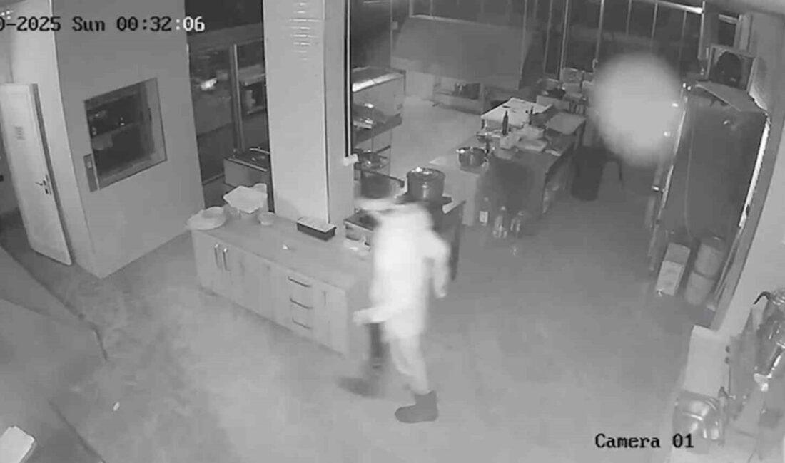 Samsun'un Çarşamba ilçesinde kayıp Gökhan E., psikolojik sorunları nedeniyle son