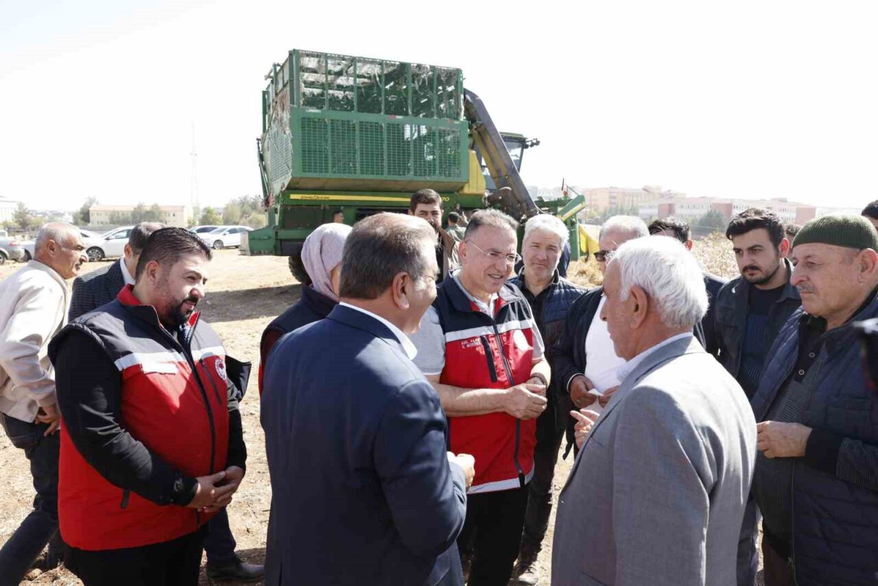 Diyarbakır'ın Bismil ilçesi Aralık köyünde pamuk hasat sezonu etkinliği gerçekleştirildi.