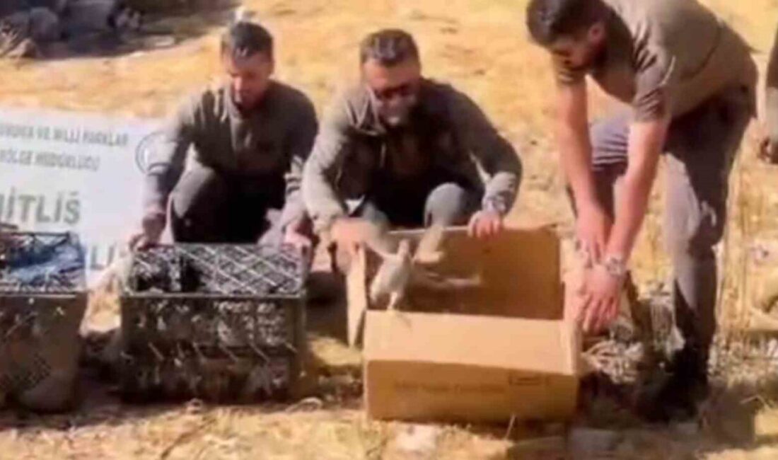 Bitlis'te gerçekleştirilen operasyonda, Tatvan kırsalında bir çadırda yasa dışı olarak