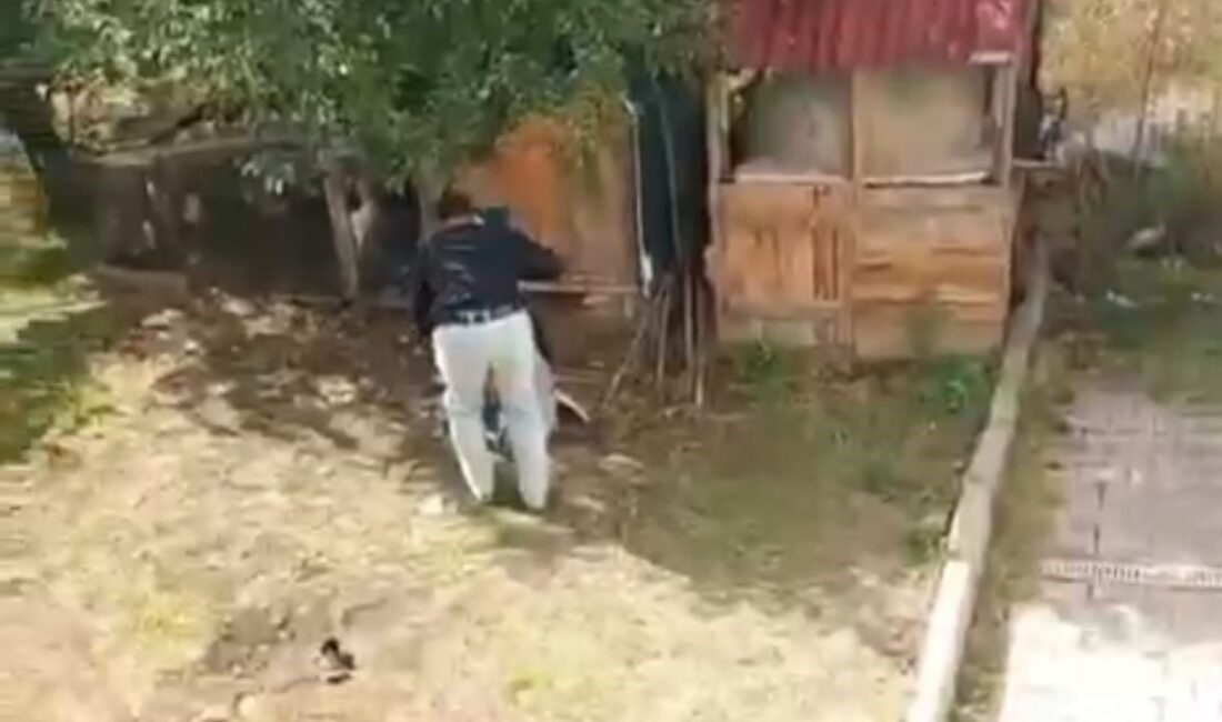 Bolu'da Ufuk Ü. isimli şahıs, tartıştığı annesi M.A. ve kız