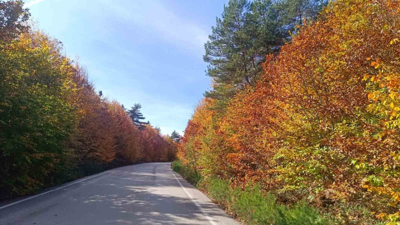 Bilecik'in Pazaryeri ilçesi, sonbaharın gelişiyle muhteşem manzaralara ev sahipliği yapıyor.