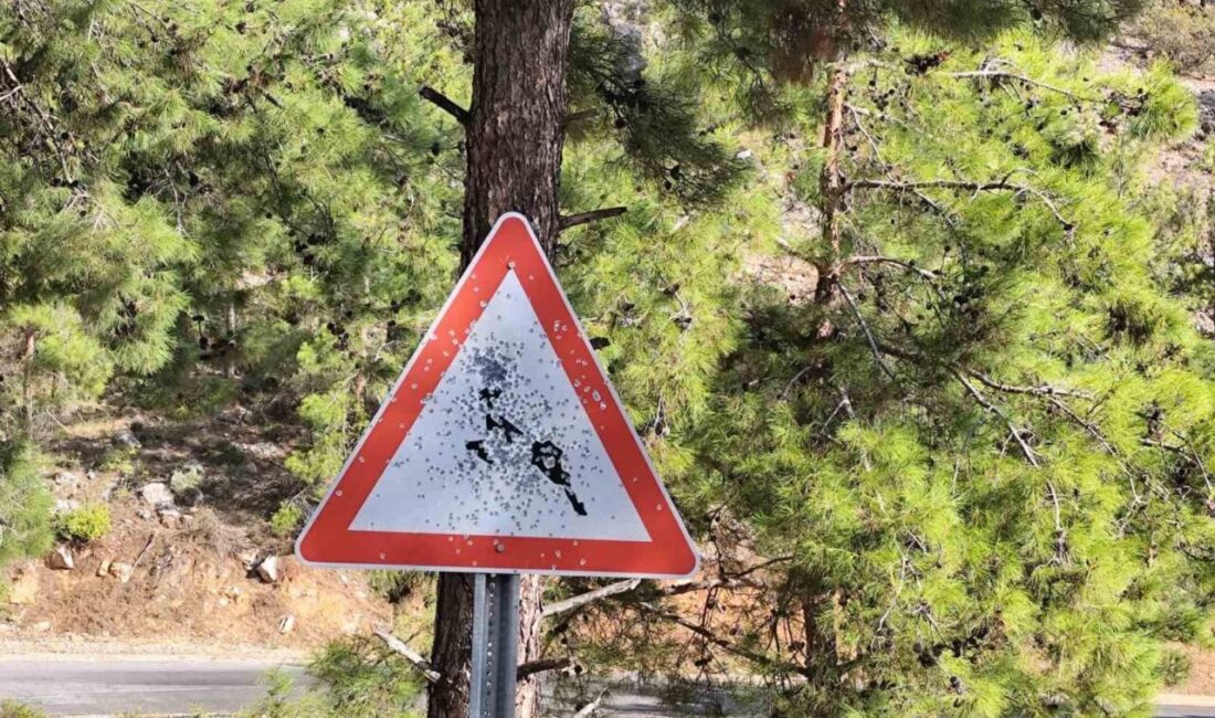 Mersin Bozyazı’da Trajik Olay: Yenilenen Trafik Levhaları Kurşunlandı ve Tahrip Edildi Mersin'in Bozyazı ilçesindeki yayla yolu üzerinde bulunan trafik levhaları, kimliği