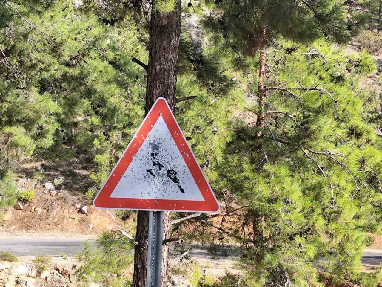 Mersin'in Bozyazı ilçesindeki yayla yolu üzerinde bulunan trafik levhaları, kimliği