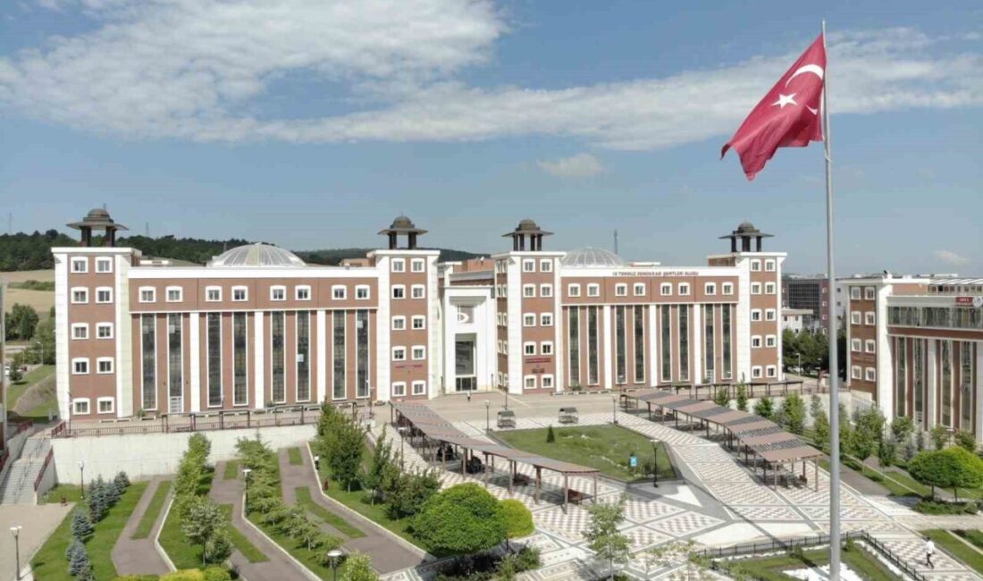 Bilecik Şeyh Edebali Üniversitesi, Times Higher Education 2026 Dünya Üniversite