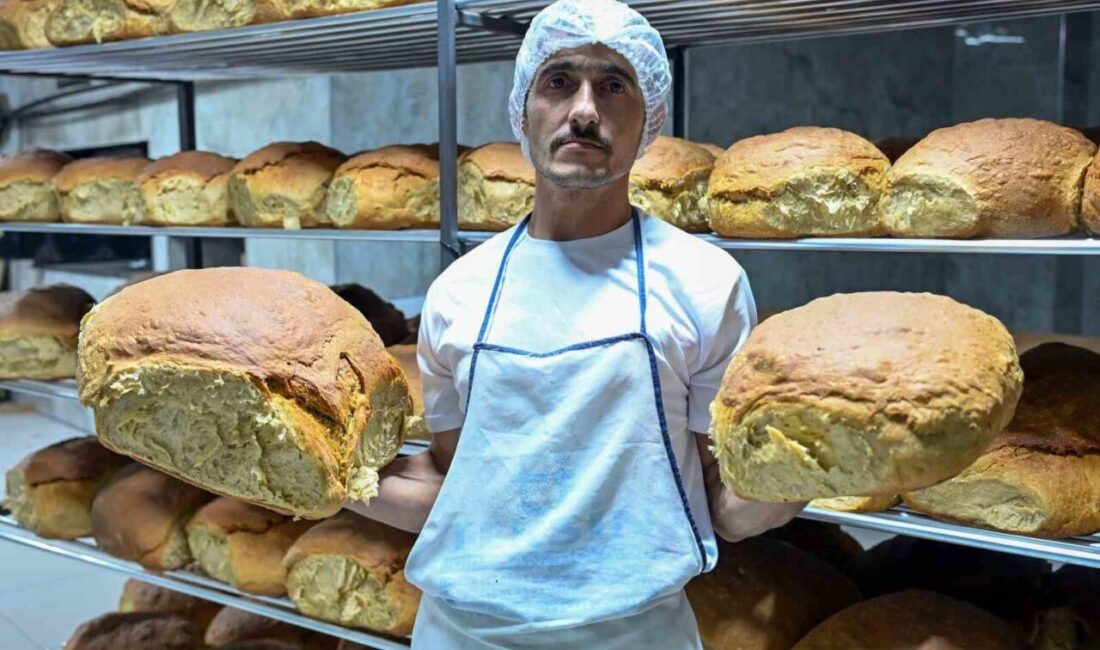 Gümüşhane'nin Kürtün ilçesindeki Araköy ekmeği, yüz yıllık ekşi maya ile