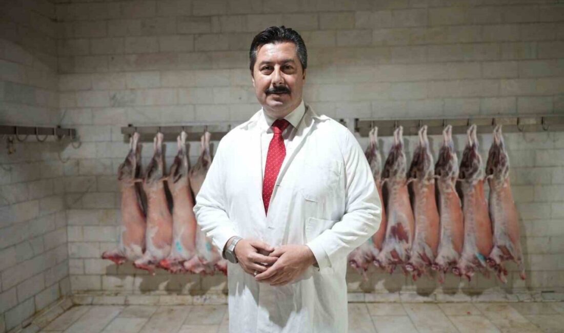 Yenişehir’de Hayvan Sayısı Nüfusu İki Katına Aştı: Hayvancılığın Gelişimi İçin Yenilikçi Adımlar Atılıyor Bursa’nın Yenişehir ilçesinde hayvan sayısı, ilçe nüfusunu iki katına çıkararak