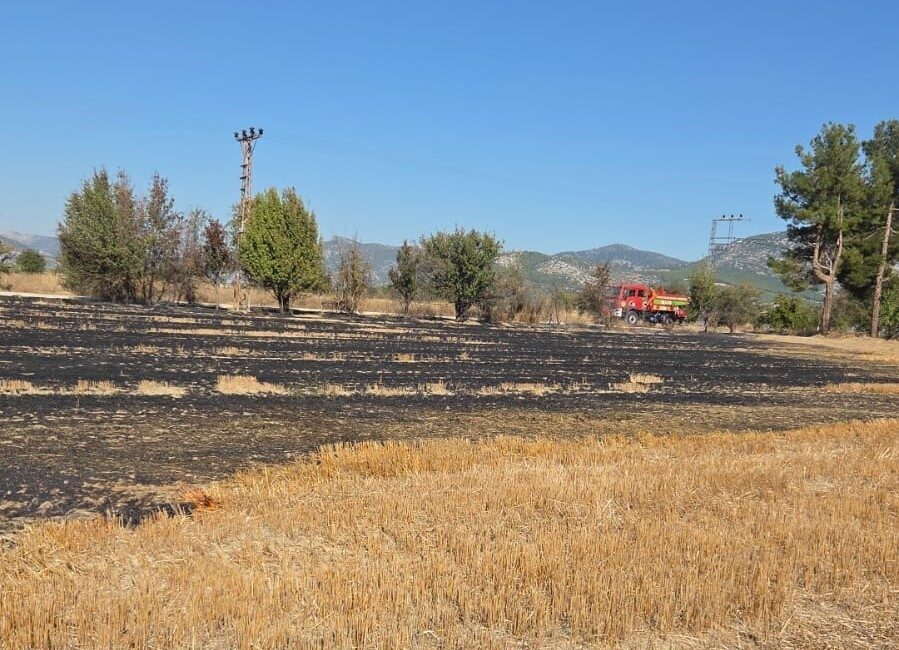 Burdur’un Bucak ilçesindeki Karapınar Köyü'nde çıkan ot yangını, 14.30'da yerel
