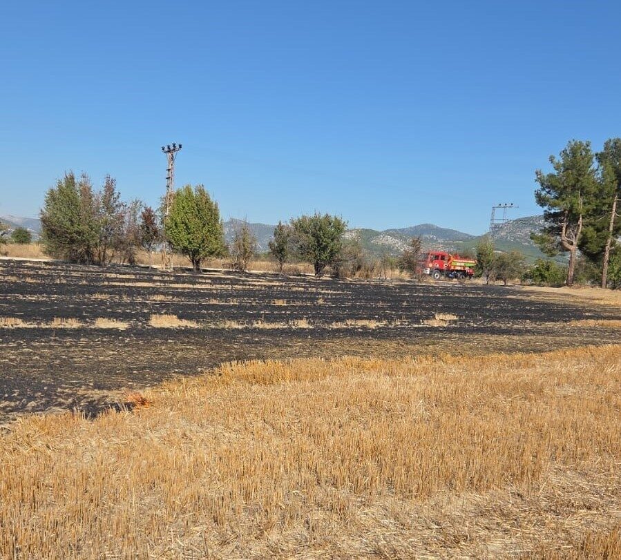 Bucak ilçesinde Karapınar Köyü'ndeki otluk alanda çıkan yangın, yerel halkın
