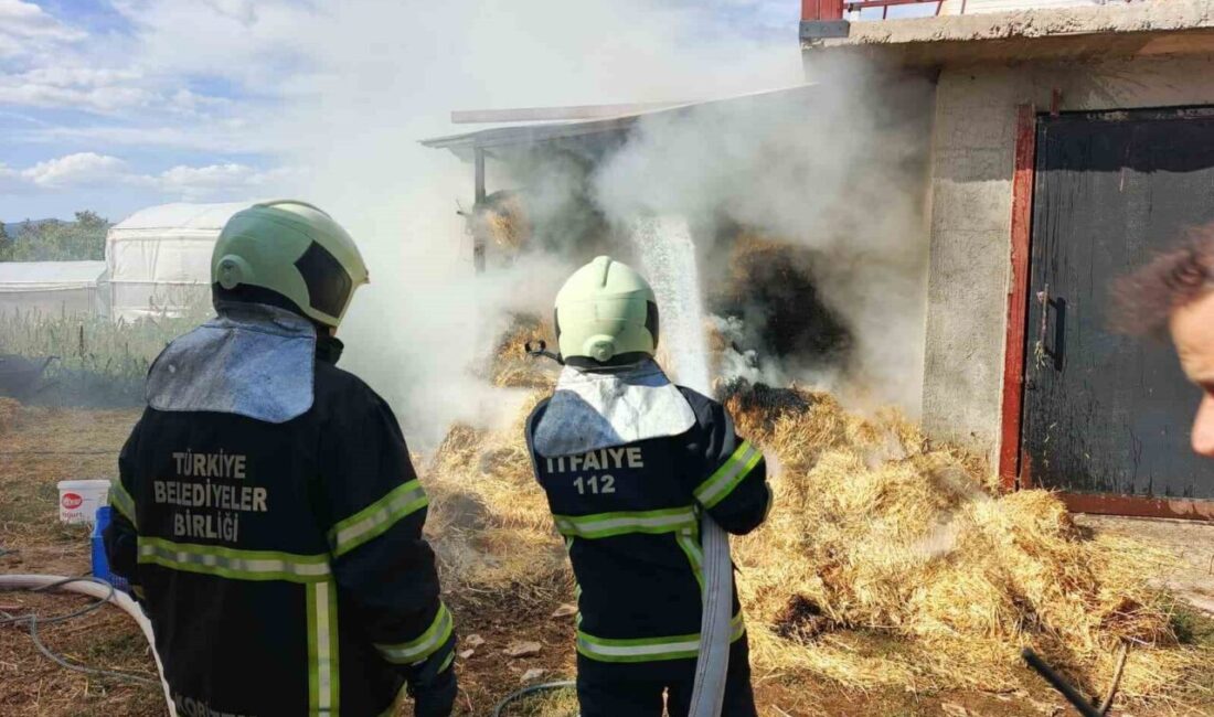 Burdur'un Bucak ilçesi Barboros Mahallesi'nde öğle saatlerinde ot balyalarının bulunduğu