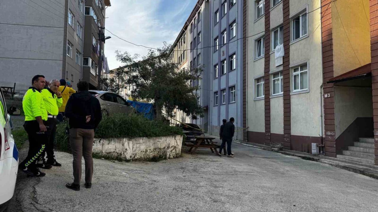 Zonguldak'ın Alaplı ilçesinde, psikolojik sorunlar yaşayan 34 yaşındaki T.T, 5.