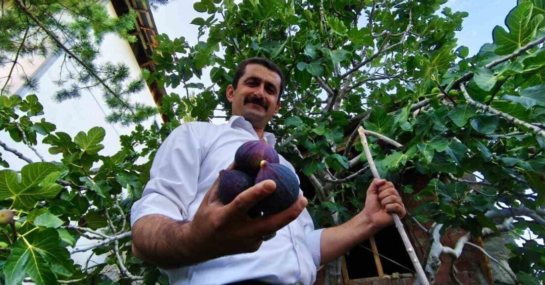 Erzurum'un Uzundere ilçesinde yaşayan Ömer Faruk Özgelen, Bursa'dan getirdiği 'Bursa