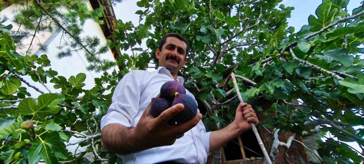 Erzurum'un Uzundere ilçesinde yaşayan Ömer Faruk Özgelen, Bursa'dan getirdiği 'Bursa