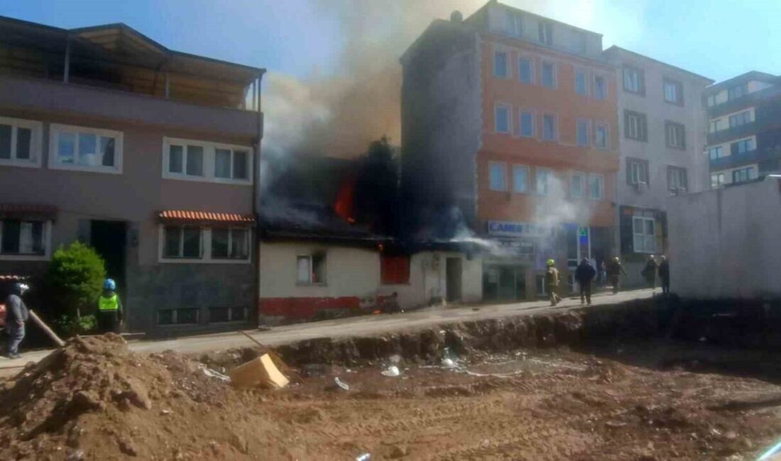 Bursa'nın Nilüfer ilçesinde bulunan ve birden fazla mirasçısı olan 2