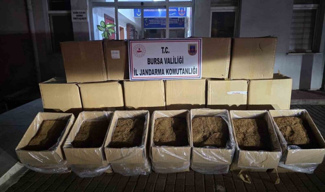 Bursa’da Jandarma, 750 Kilogram Kaçak Tütün Ele Geçirdi; İki Şüpheli Gözaltına Alındı Bursa'nın Osmangazi ilçesinde jandarma, K.K. (50) ve M.D. (26) adlı