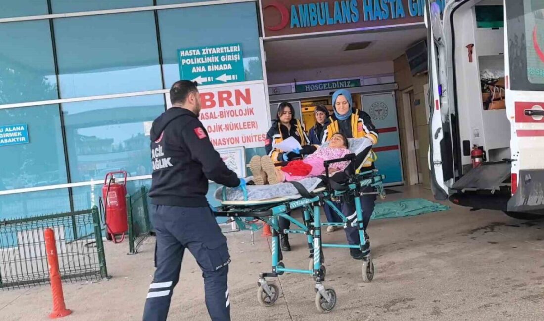 İnegöl’de Bahçede Oyun Oynayan 9 Yaşındaki Çocuğun Üzerine Demir Kapı Devrildi, Ağır Yaralandı Bursa İnegöl'de, 9 yaşındaki Asmin Ç., bahçede oyun oynarken 250