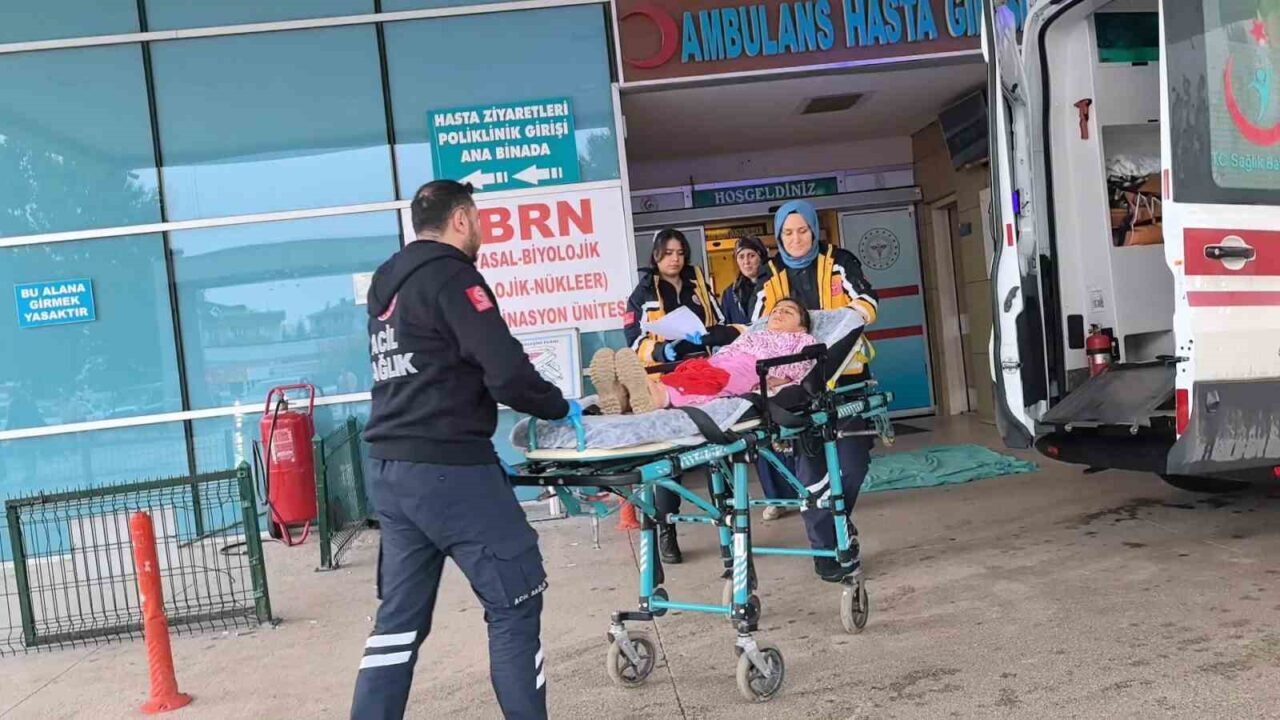 Bursa İnegöl'de, 9 yaşındaki Asmin Ç., bahçede oyun oynarken 250