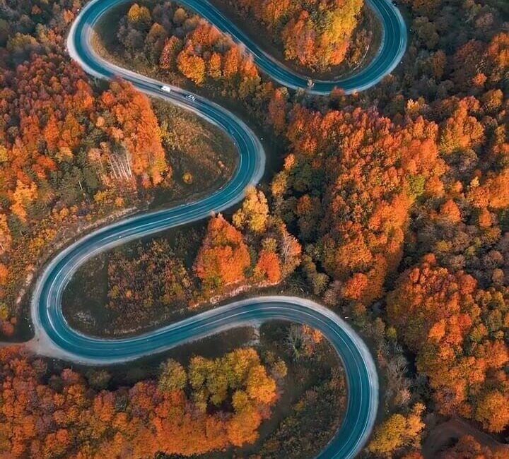 Bursa ve Kütahya Arasındaki Orman Yolunda Sonbaharın Renk Çeşitliliği Görsel Şölen Sunuyor İnegöl ve Domaniç’i bağlayan orman yolu, sonbaharın gelişiyle renk cümbüşüne