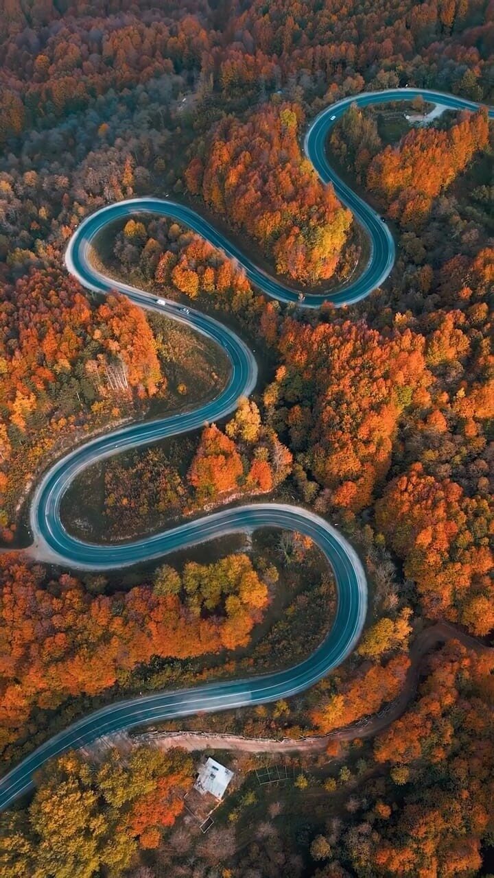 Bursa ve Kütahya Arasındaki Orman Yolunda Sonbaharın Renk Çeşitliliği Görsel Şölen Sunuyor