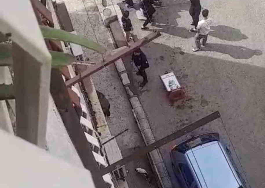 Bursa'nın Osmangazi ilçesinde bir petshopta çalışan şahsın, alışverişe gelen küçük