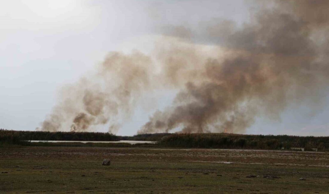 Bitlis'in Güroymak ilçesindeki İron sazlığında çıkan yangın, göçmen kuşlar ve