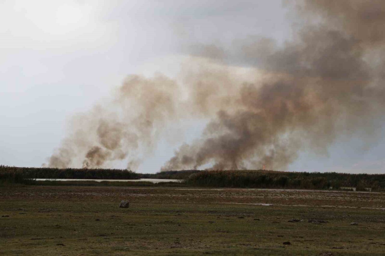 Bitlis'in Güroymak ilçesindeki İron sazlığında çıkan yangın, göçmen kuşlar ve