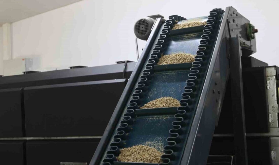 Muğla’daki Kedi-Köpek Maması Üretim Tesisi, Sokak Hayvanlarının Beslenmesine Destek Veriyor Muğla Büyükşehir Belediyesi, Kedi-Köpek Maması Üretim Tesisi ile sokak hayvanlarına