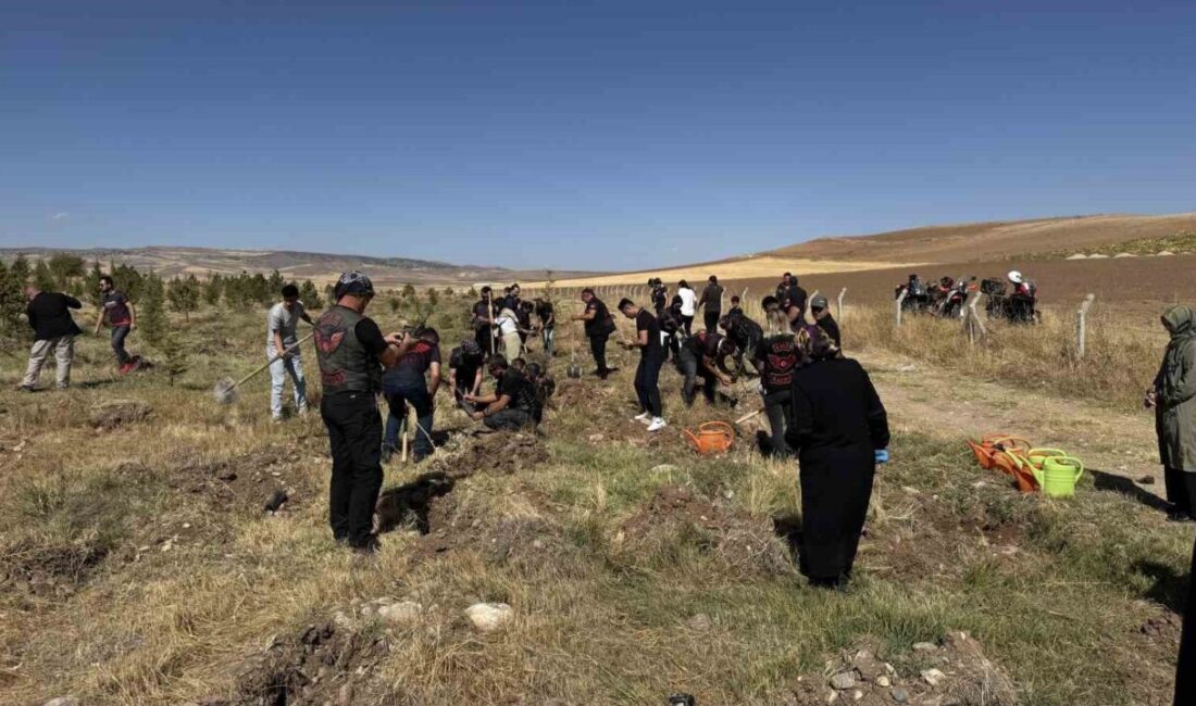 Kayseri’de Doğaya Can Verecek 1500 Fidan Toprakla Buluştu Kayseri Büyükşehir Belediyesi, Başkan Dr. Memduh Büyükkılıç'ın önderliğinde Sarımsaklı Barajı'nda