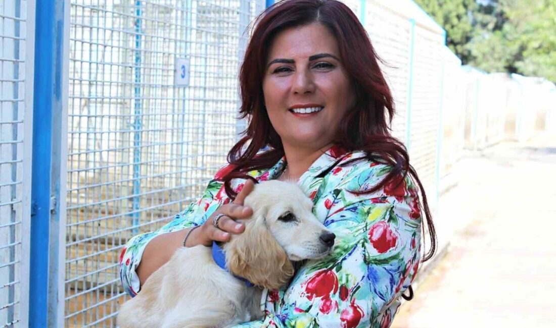 Aydın Büyükşehir Belediye Başkanı Özlem Çerçioğlu, 4 Ekim Hayvanları Koruma