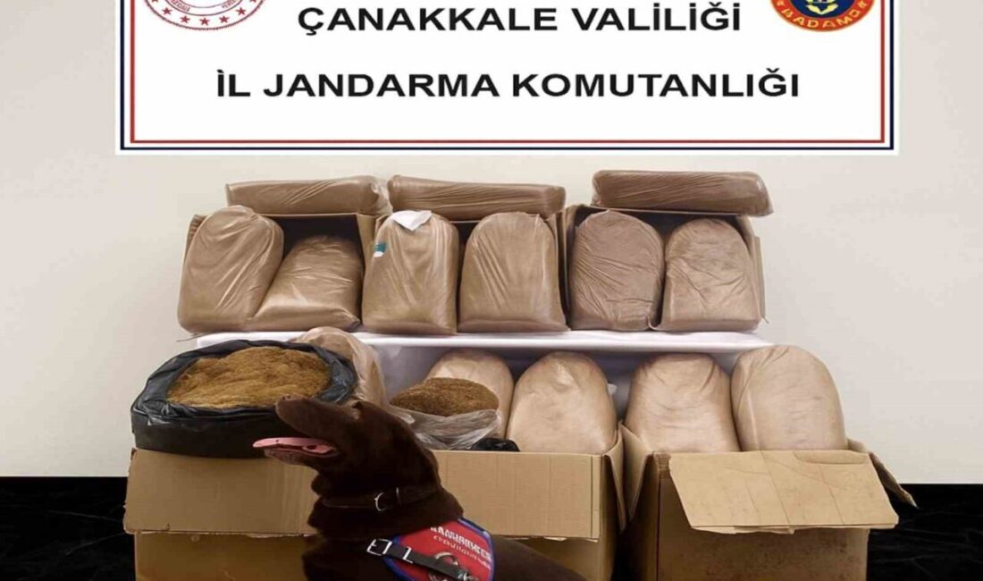 Çanakkale'de jandarma, 21-27 Ekim tarihlerinde düzenlenen operasyonlarda 27 elektronik sigara