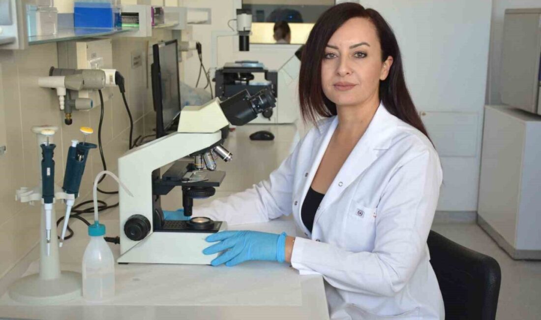Yakın Doğu Üniversitesi, Gazi Üniversitesi ve Bilkent Üniversitesi tarafından yapılan