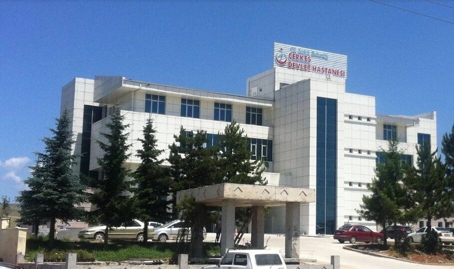 Çankırı'nın Çerkeş ilçesinde 70 yaşındaki T.A.'nın kullandığı pikap, D100 karayolu