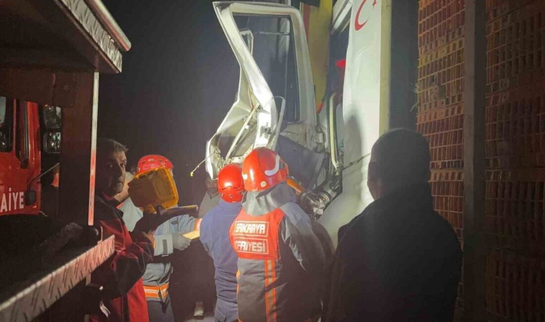 Sakarya'nın Pamukova ilçesinde D-650 kara yolunda canlı tavuk taşıyan S.K.