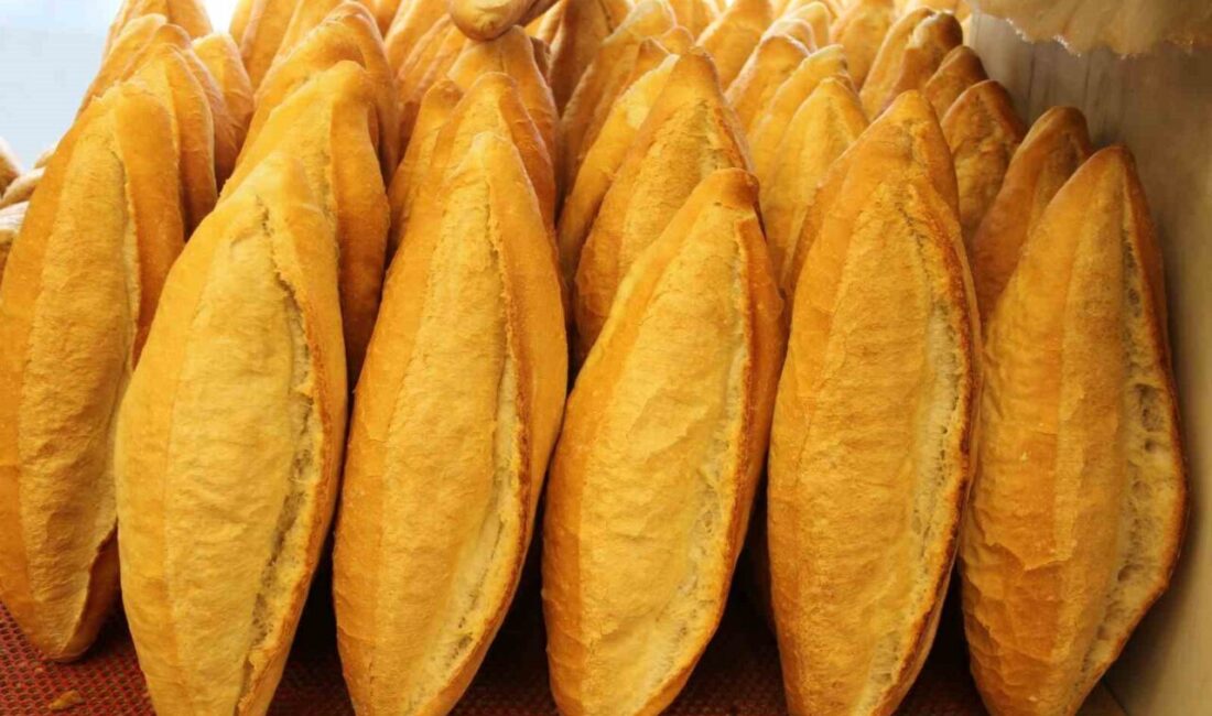 Çarşamba’da Ekmek Fiyatları Yeniden Artışa Geçti: 210 Gram Ekmeğin Fiyatı 15 TL Oldu Samsun'un Çarşamba ilçesinde ekmek fiyatı 16 Ekim'den itibaren 210 gram
