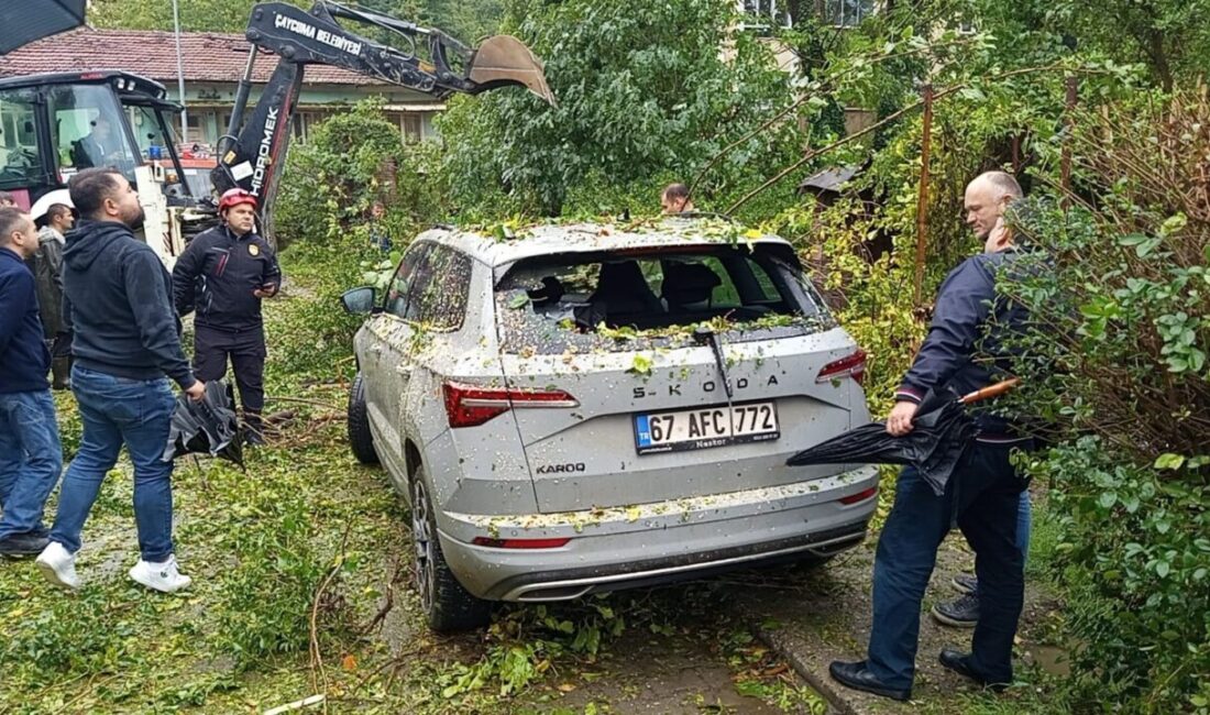 Çaycuma’da Fırtına Sebebiyle Park Halindeki Araç Üzerine Ağaç Devrildi Zonguldak'ın Çaycuma ilçesinde fırtına nedeniyle park halindeki 67 AFC 772