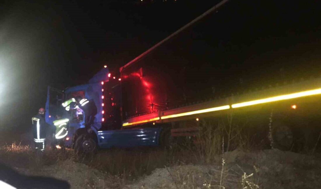 Kastamonu'nun Tosya ilçesinde, Adnan Ardahanlı'nın kullandığı tır D100 karayolu'ndan çıkarak