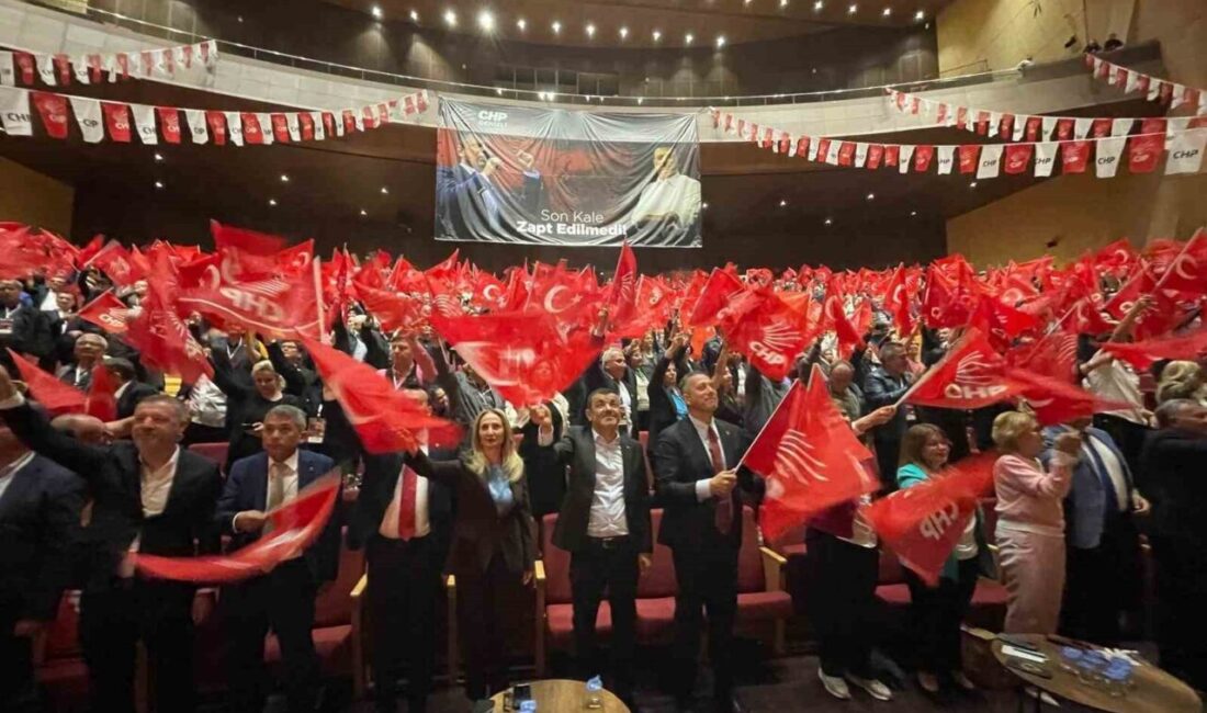 Cumhuriyet Halk Partisi (CHP) Denizli 39. Olağan İl Kongresi, Ali