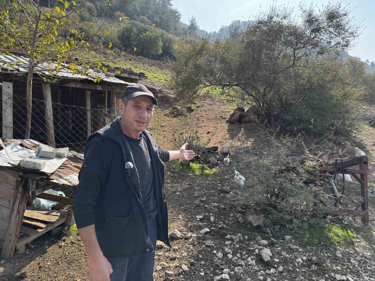 Manisa'nın Kozanlı Mahallesi'ndeki hayvanlara ilişkin CİMER'e yapılan şikayet yerel halkta