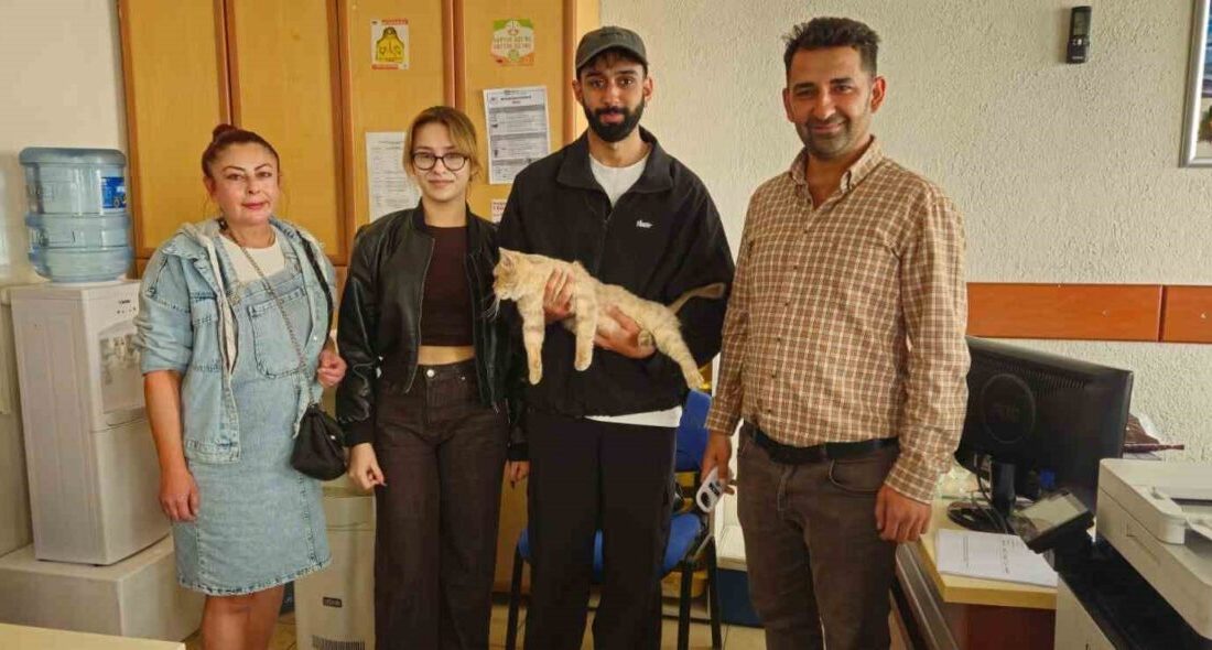 Nazilli’de Kaçan Kedi, Mikroçip Sayesinde Sahibine Kavuşturuldu Nazilli’de evden kaçan "Şira" isimli kedi, üniversite öğrencilerinin yardımıyla bulundu.