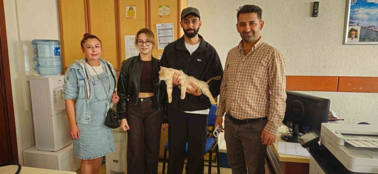 Nazilli’de evden kaçan "Şira" isimli kedi, üniversite öğrencilerinin yardımıyla bulundu.
