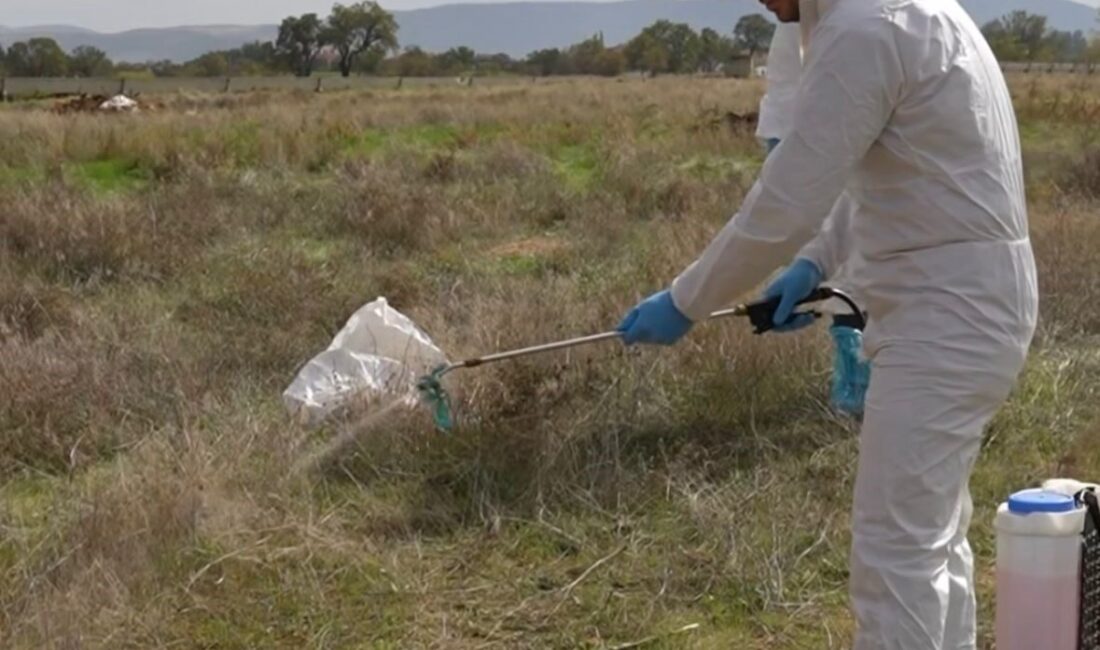 Çivril Belediyesi, ilçedeki şap hastalığıyla mücadeleye devam ediyor. Başkan Semih