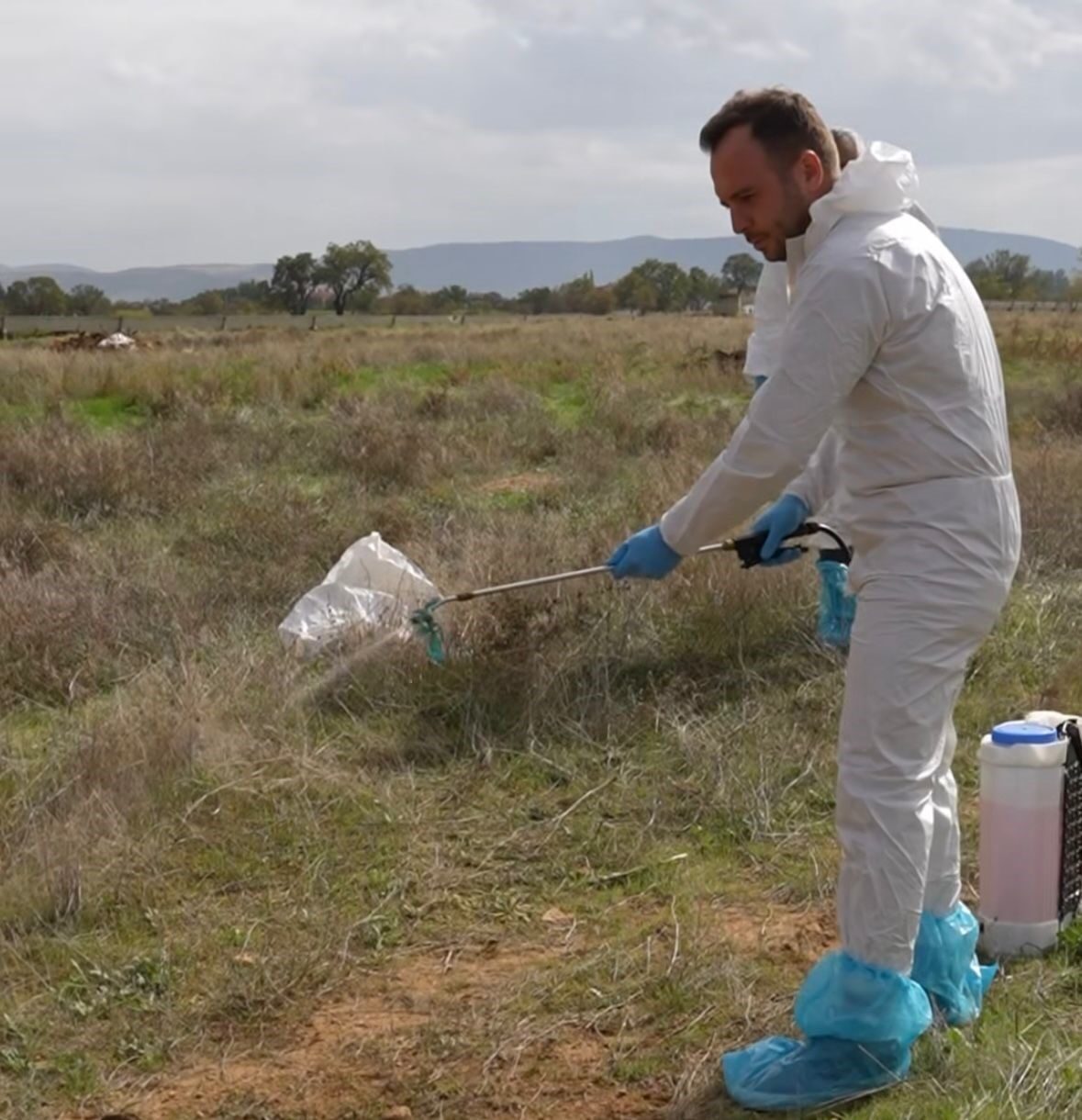Çivril Belediyesi, ilçedeki şap hastalığıyla mücadeleye devam ediyor. Başkan Semih