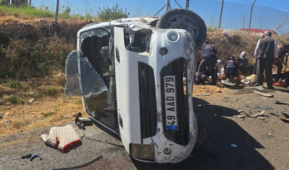 Cizre’de bir kamyonet ile otomobilin çarpışması sonucu 8 kişi yaralandı.