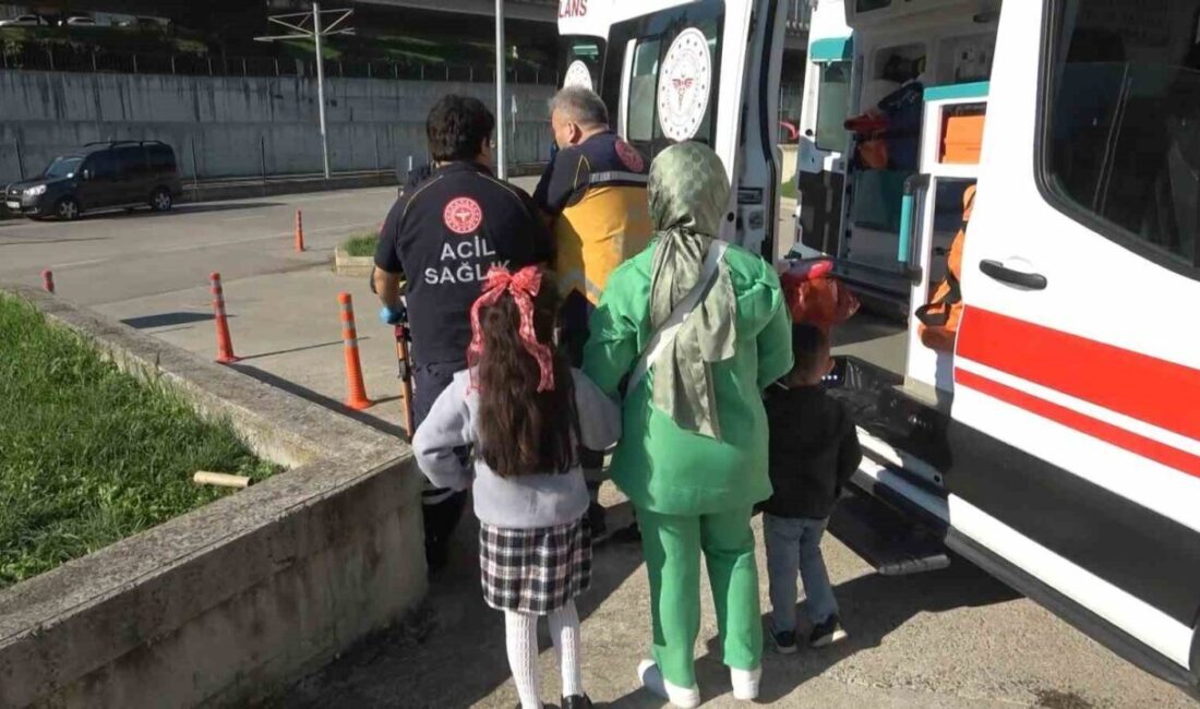 Samsun'da boşanmış bir çiftin çocuk tesliminde yeni eş Emrullah Carcur,