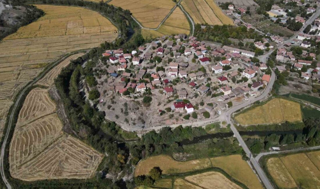 Kastamonu’nun Tosya ilçesinde sulama sorunları nedeniyle coğrafi işaretli "Sarıkılçık" pirinci