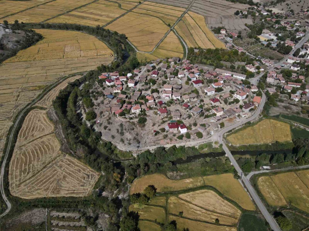Tosya’da Çeltik Hasadında Sulama Sorunları Nedeniyle Rekolte Yüzde 40 Düştü