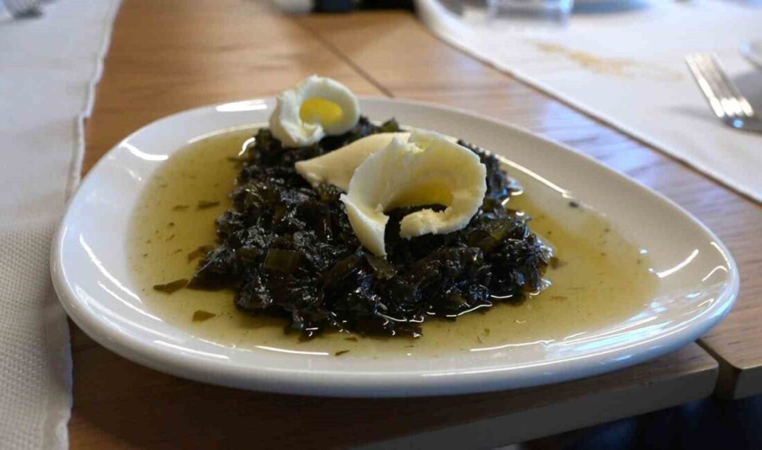 Rize'de kara lahana kullanılarak yapılan yeni bir lezzet, reçeli, ziyaretçilerden